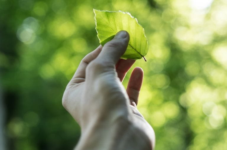 Compromiso de Cofrutos con el medioambiente